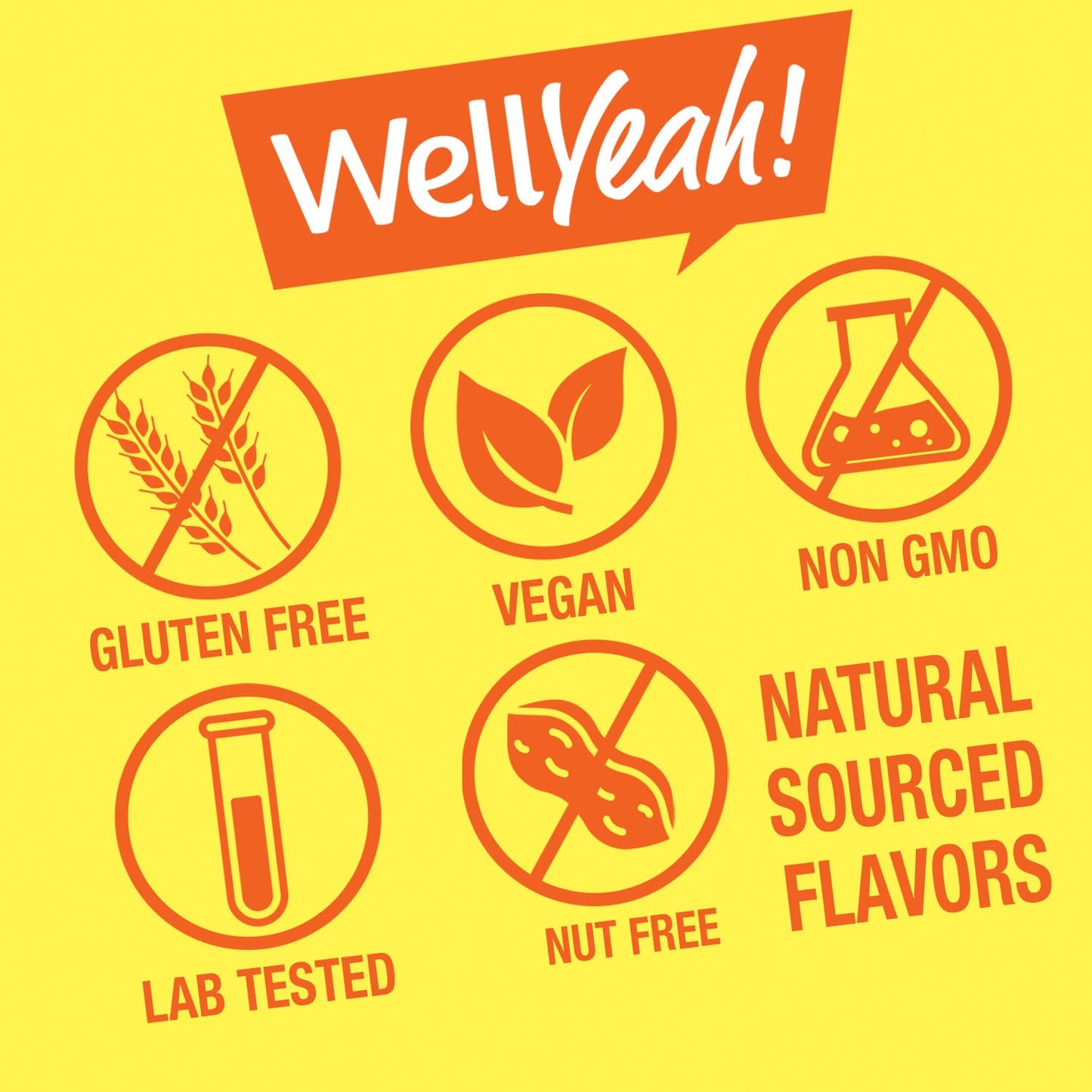 WellYeah Kids Vitamin D3 Gummies 1000 IU – Supports Bones & Immunity
