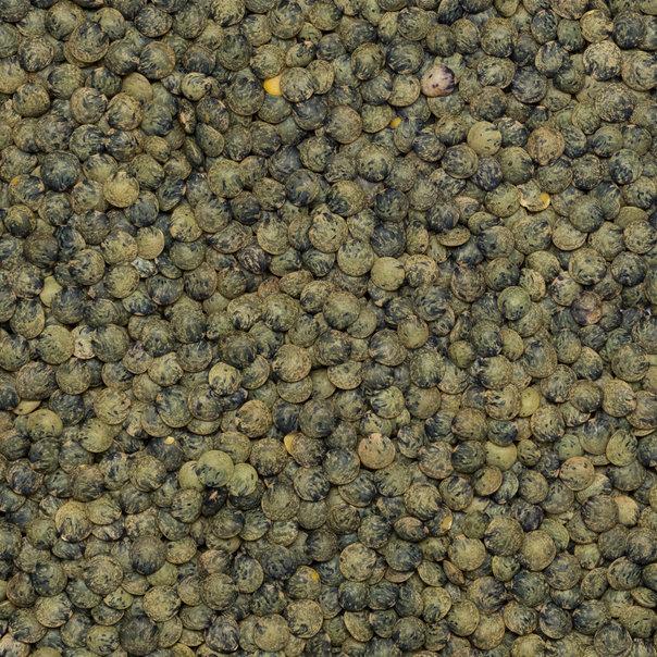 Dark Speckled Lentils