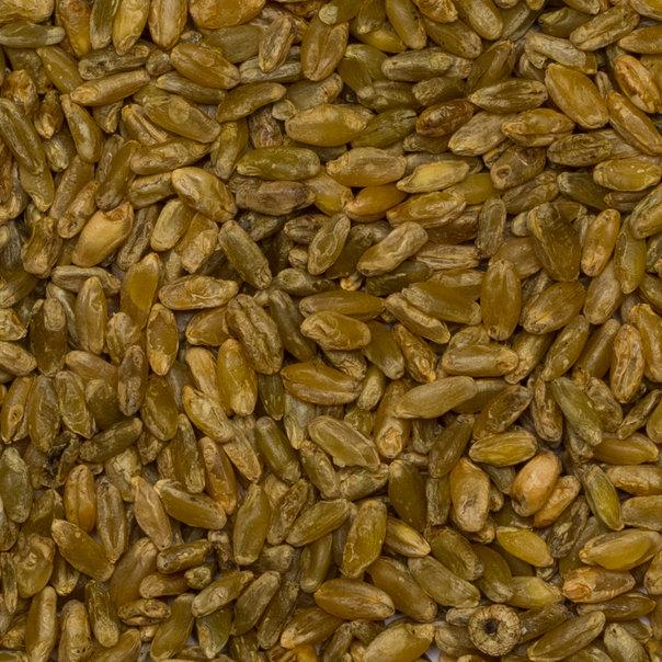 Freekeh Cracked Roasted Wheat Grain