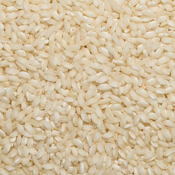 Organic Arborio Rice