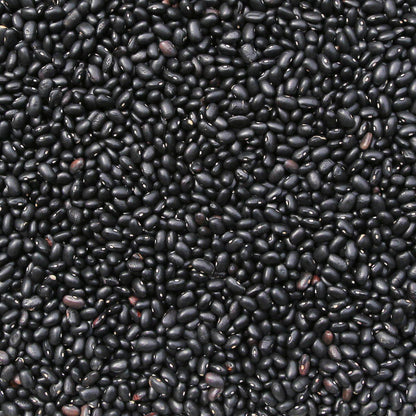 Organic Black Turtle Beans