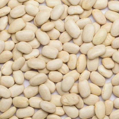 Organic Haricot Beans