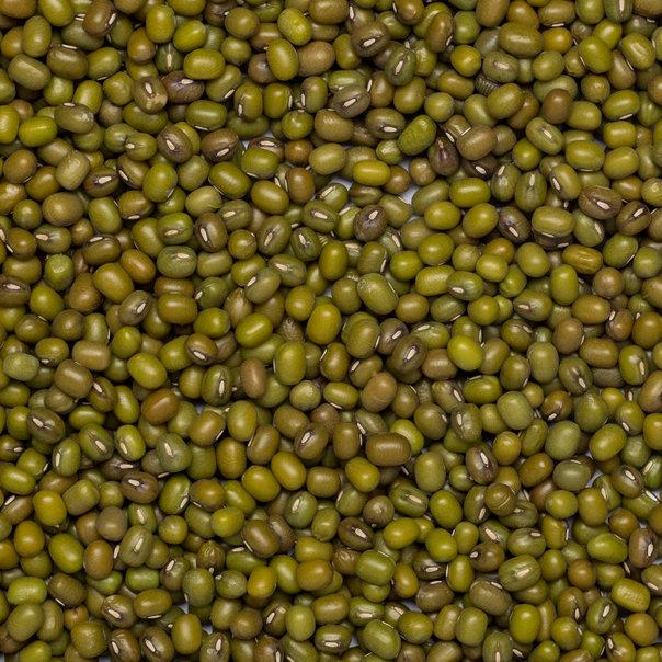 Organic Mung Beans