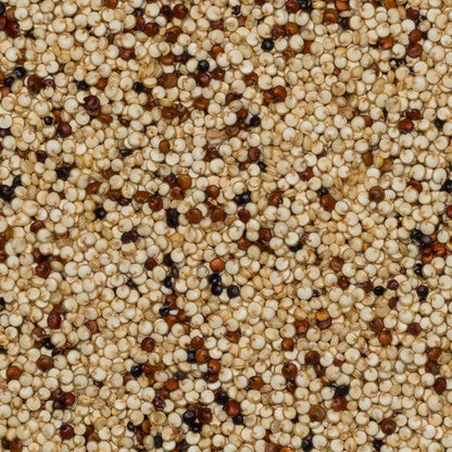 Organic Quinoa Grain (Tri - Colour)