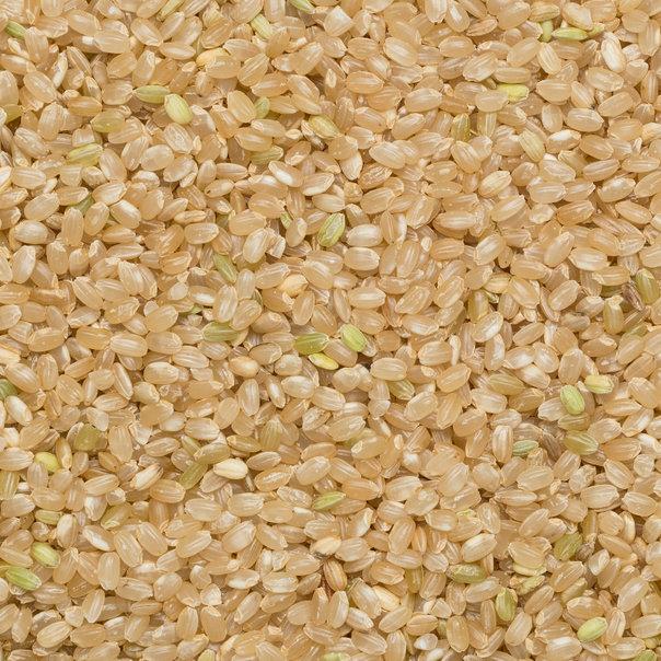 Organic Short Grain Brown Rice
