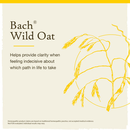Bach Original Flower Remedies: Wild Oat - Decide Your Path | 20mL Dropper