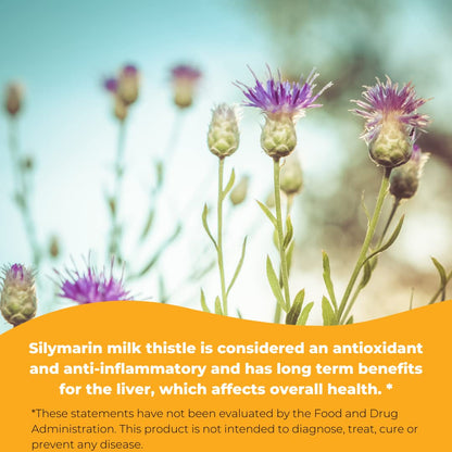 Wonder Labs Silymarin Milk Thistle, Supports Healthy Liver Detox - 250 Capsules
