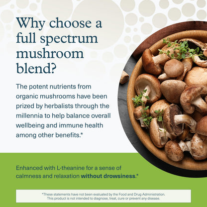 Youtheory Mushroom Immune Complex – Vegan Immune Support (60 Vegetarian Capsules)