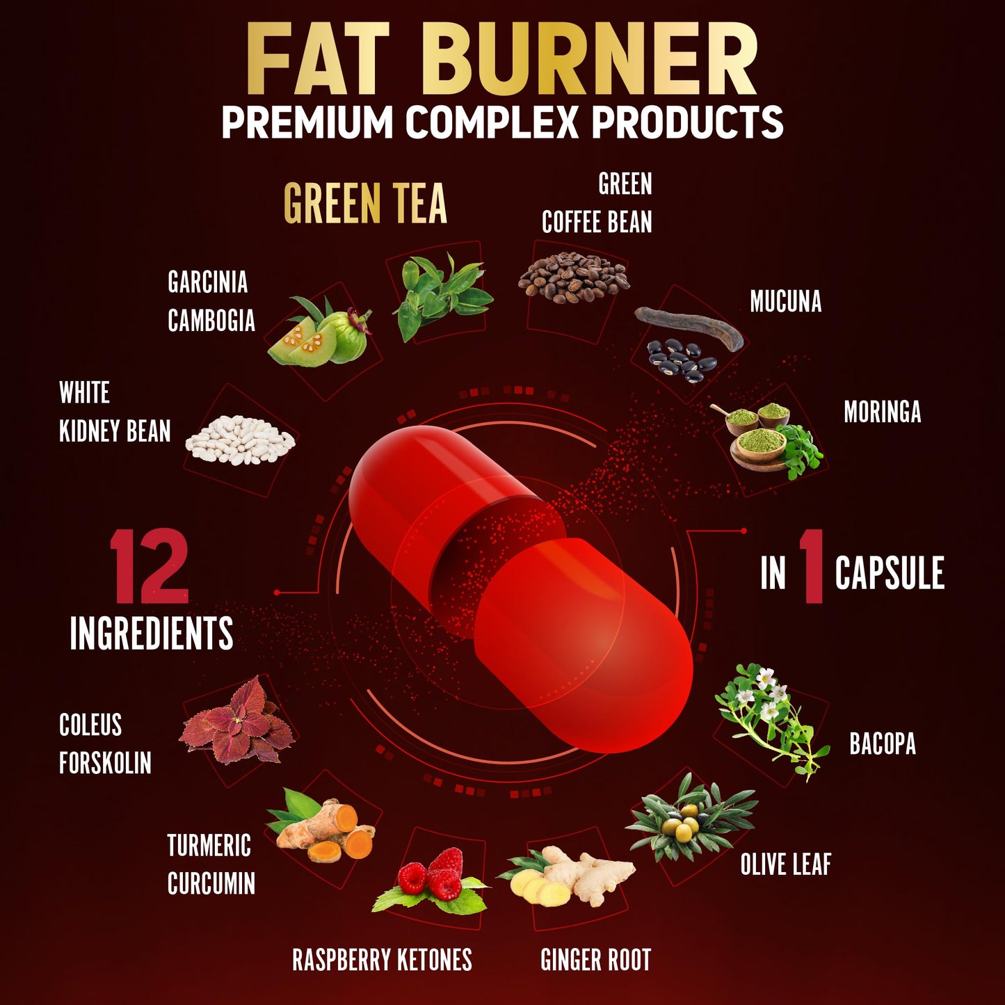 Premium Weight Loss Pills for Women – 2 Months Supply | Best Belly Fat Burners for Women and Men | Metabolism Booster with Green Tea Extract 98%